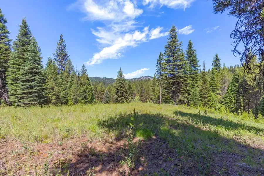 178 Tripod View Drive, Cascade, ID 83611 - #2