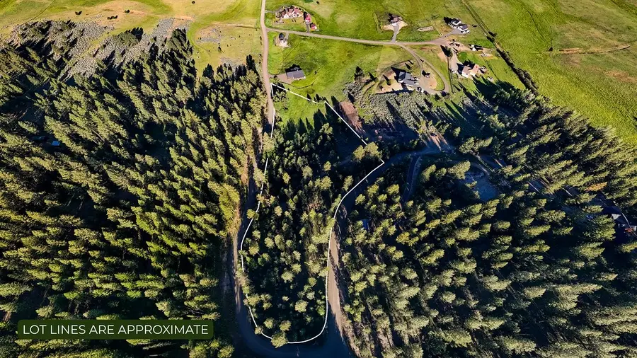 17 Hondo Lane, Donnelly, ID 83615 - #3