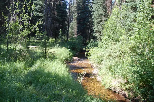 14074 B Morell Road, McCall, ID 83638
