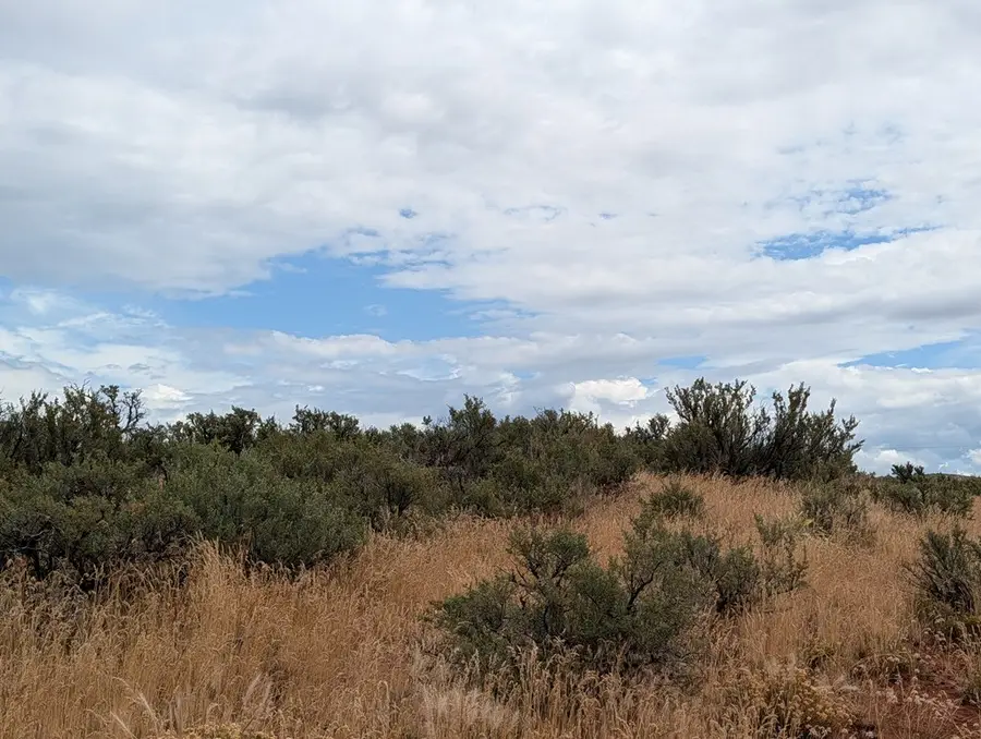 TBD Shaw Lane, Council, ID 83612 - #2