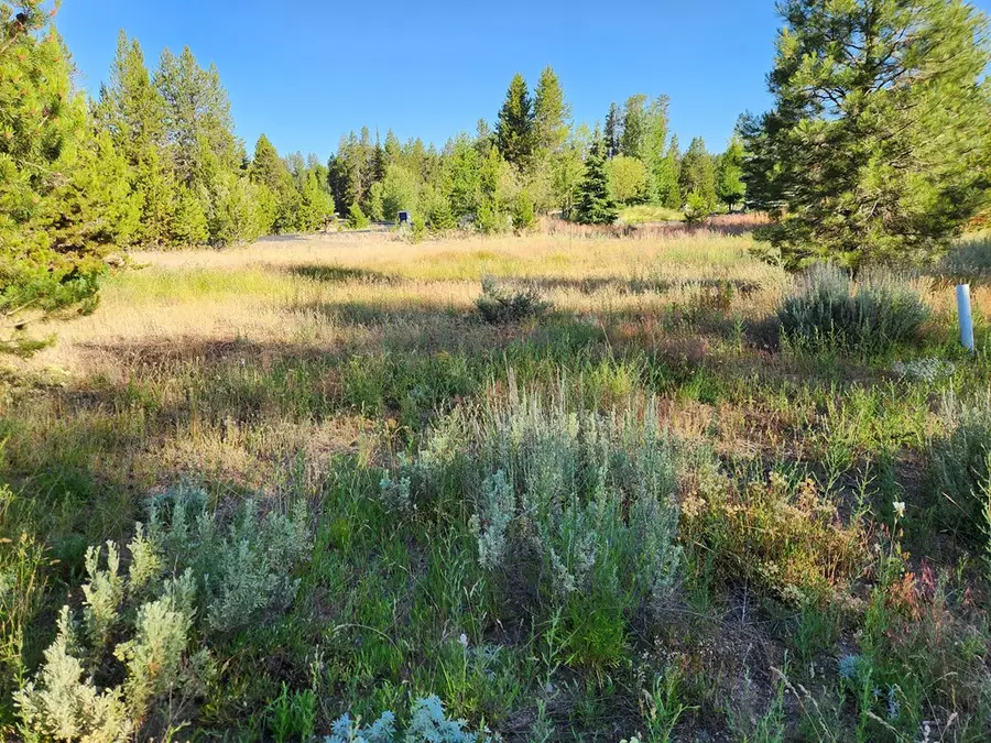 221 Morgan Drive, McCall, ID 83638 - #3
