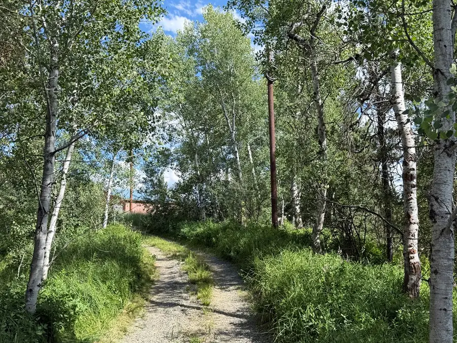 40 Blackpine Place, McCall, ID 83638 - #2