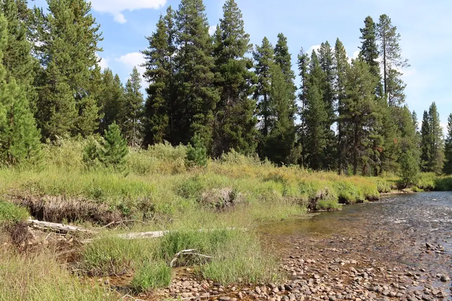 L49 Secesh River Road, McCall, ID 83638 - #2