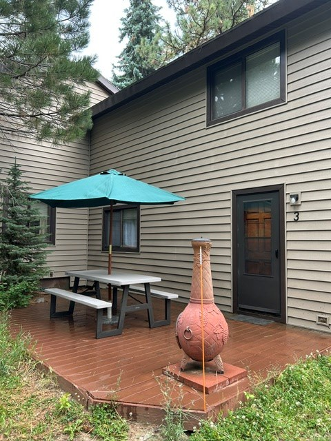 129 E Stibnite Street, McCall, ID 83638 - #2