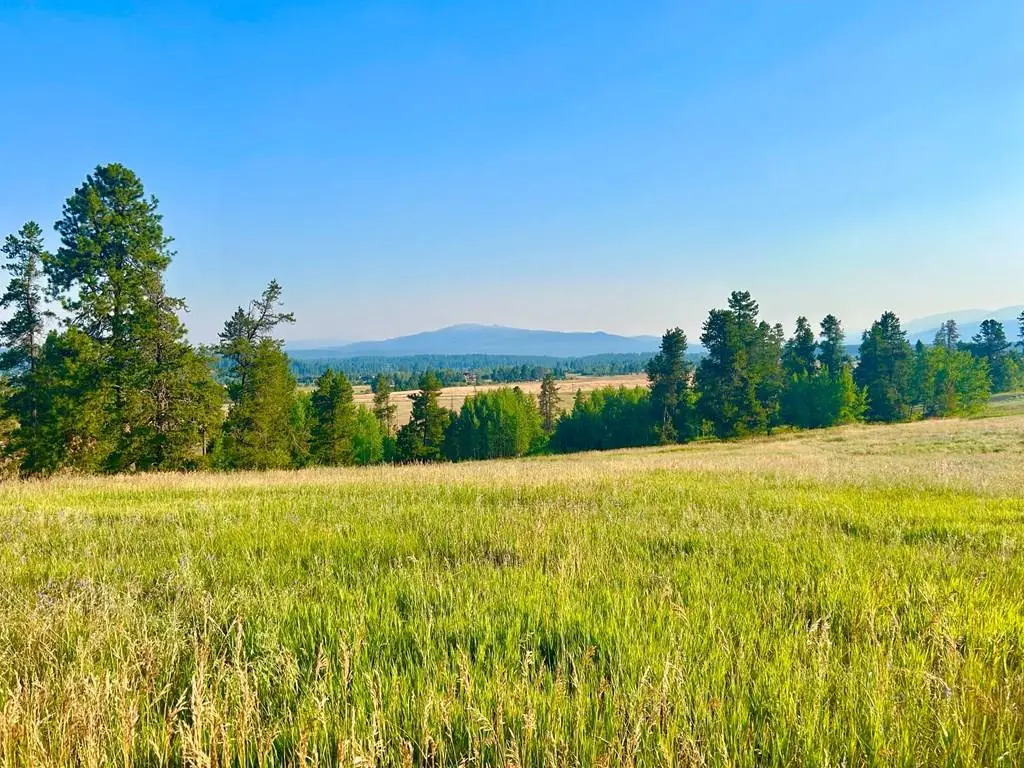 7 Wood Run Trail, McCall, ID 83638 - #1