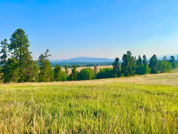 7 Wood Run Trail, McCall, ID 83638