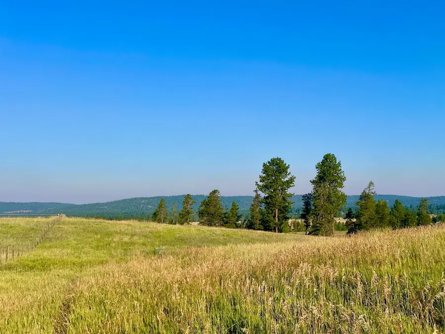 7 Wood Run Trail, McCall, ID 83638 - #2