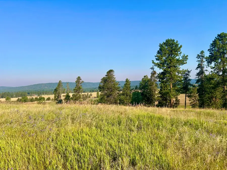 7 Wood Run Trail, McCall, ID 83638 - #3