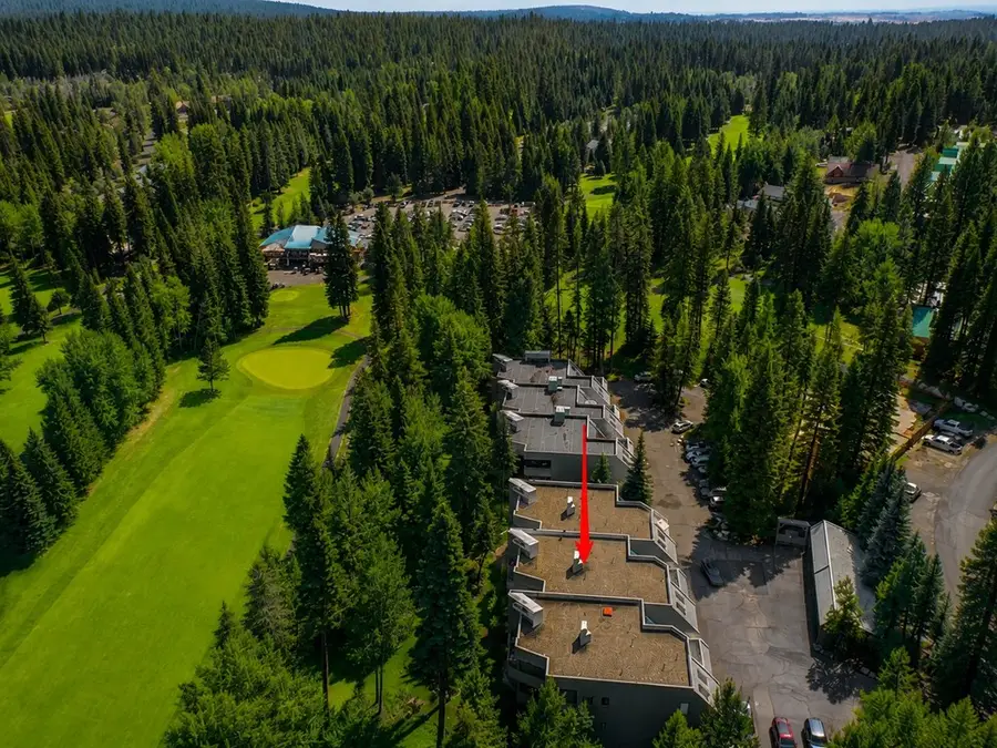 917 Fairway Drive, McCall, ID 83638 - #3