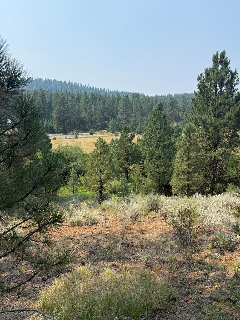 Lot 21 West Pine Drive, New Meadows, ID 83654 - #1