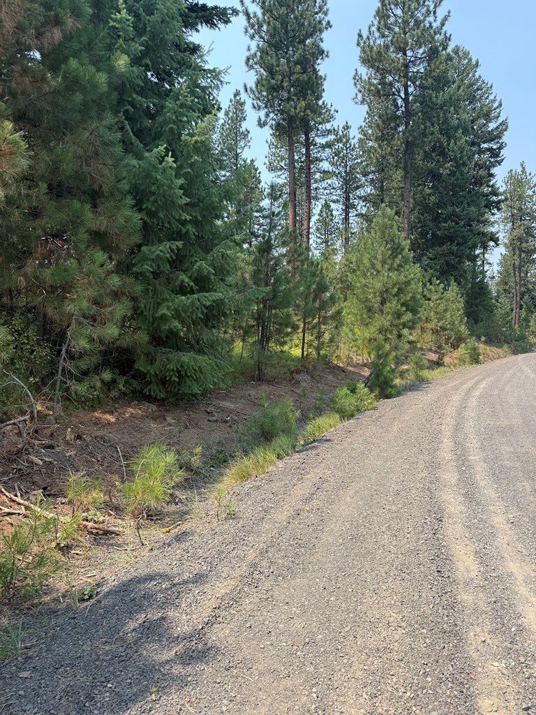 Lot 21 West Pine Drive, New Meadows, ID 83654 - #2