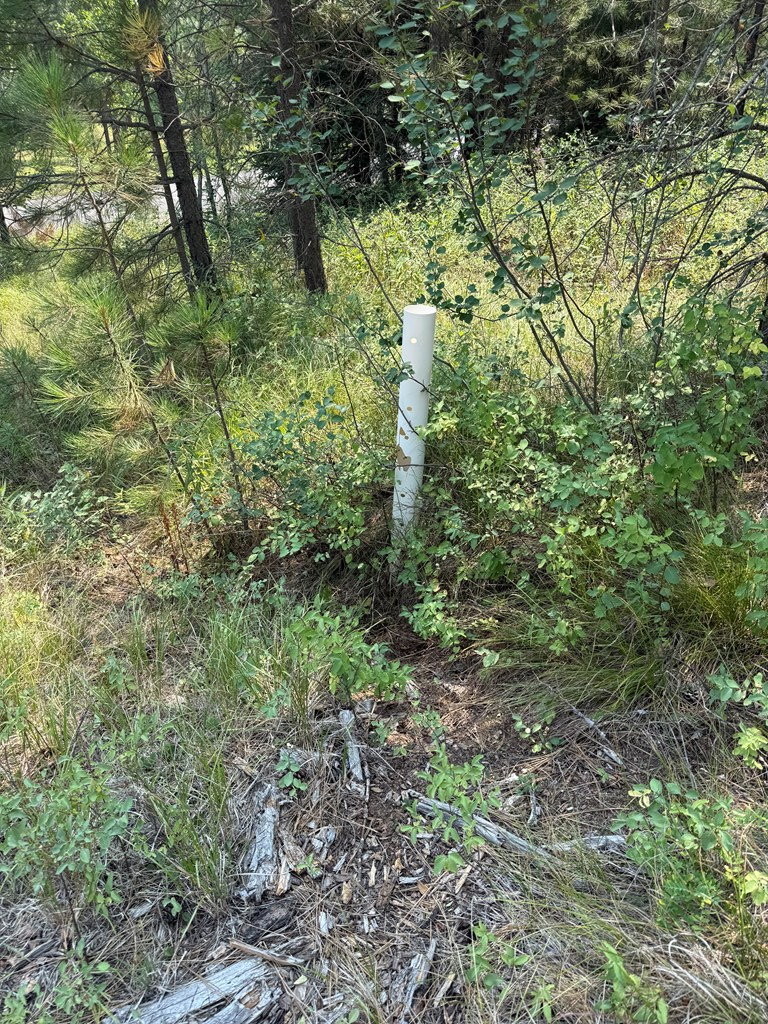 Lot 21 West Pine Drive, New Meadows, ID 83654 - #3