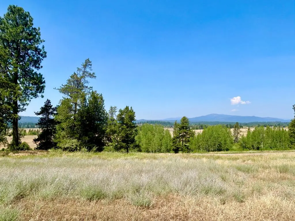 35 Wood Run Trail, McCall, ID 83638 - #1