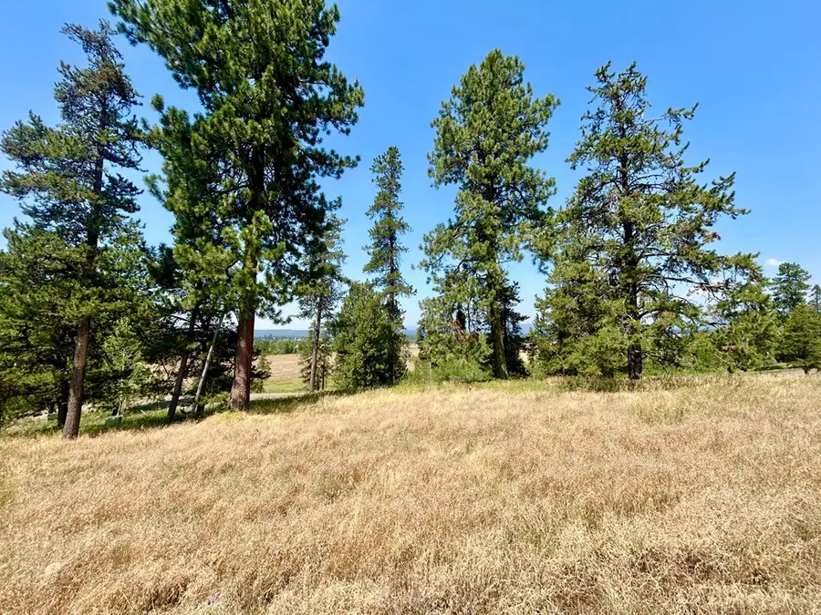 35 Wood Run Trail, McCall, ID 83638 - #2