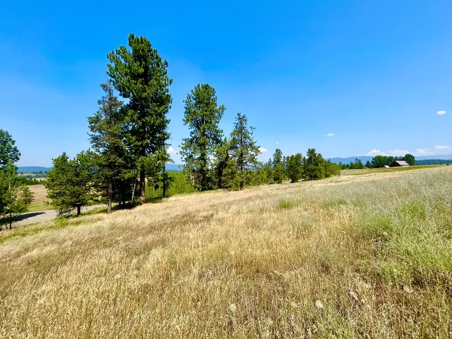 35 Wood Run Trail, McCall, ID 83638 - #3