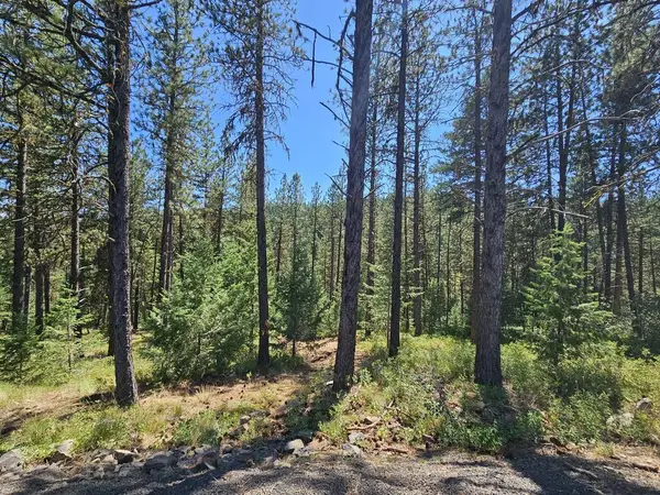 B14 L6 Yampa Court, New Meadows, ID 83654
