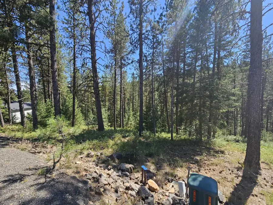 B14 L6 Yampa Court, New Meadows, ID 83654 - #2
