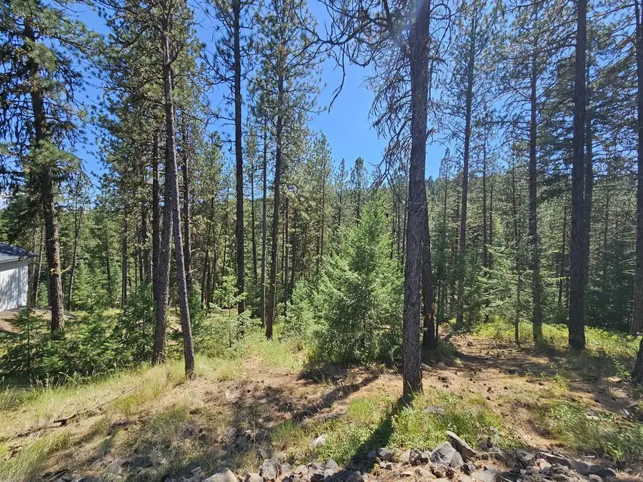 B14 L6 Yampa Court, New Meadows, ID 83654 - #3