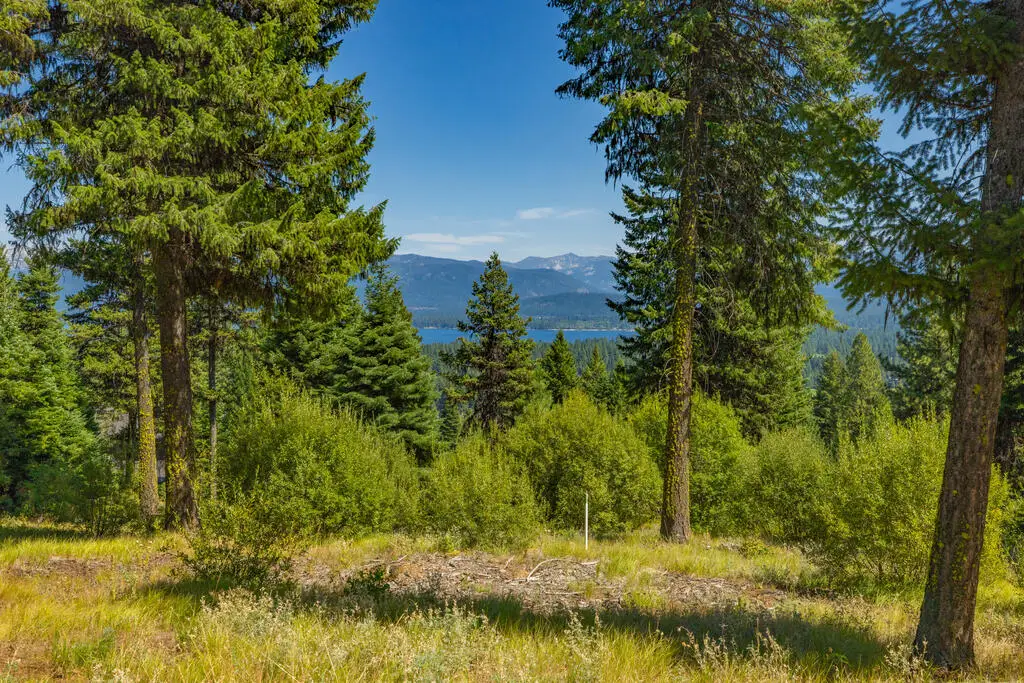 641 Migratory Ridge, McCall, ID 83638 - #1