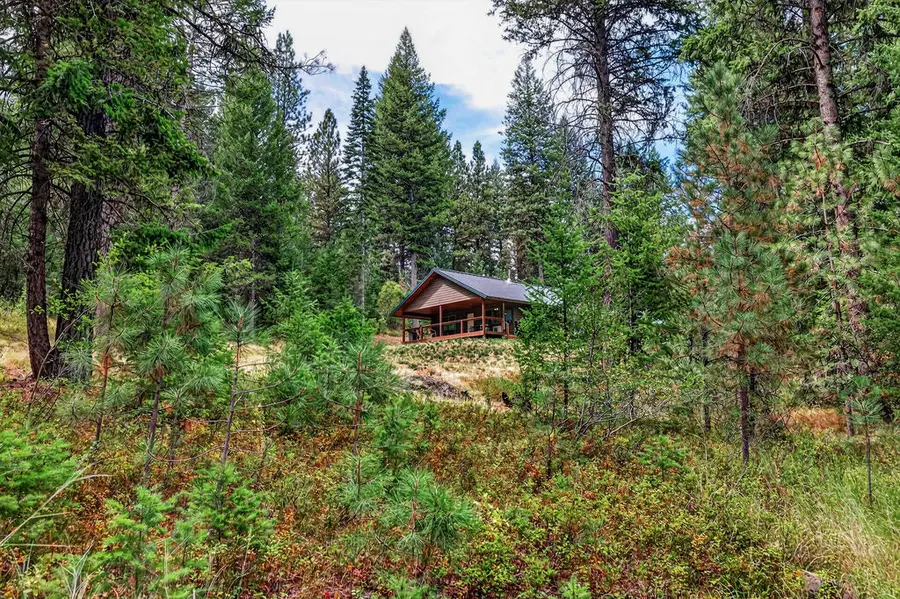 4025 Little Salmon Road, New Meadows, ID 83614 - #3