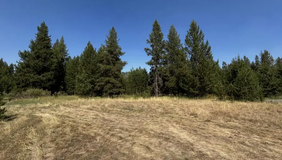 TBD Warren Wagon Road, Secesh, ID 83638 - #2