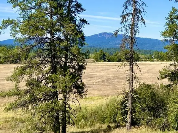 34 Wood Run Trail, McCall, ID 83638