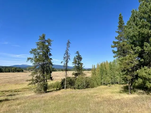 34 Wood Run Trail, McCall, ID 83638 - #2