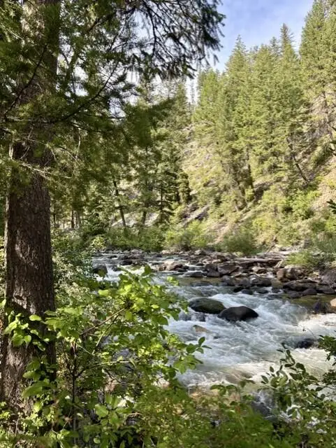 4972 East Fork Road, Yellow Pine, ID 83677