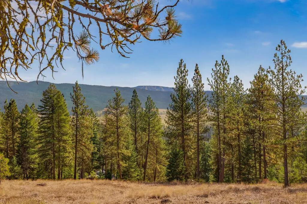 Lot 25 Skyline Drive, New Meadows, ID 83654 - #1