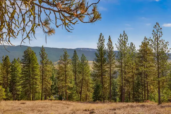 Lot 25 Skyline Drive, New Meadows, ID 83654