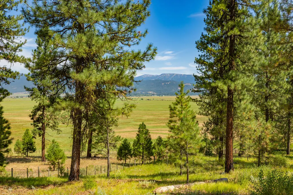 Lot 10 Timber Ridge Drive, New Meadows, ID 83654 - #1