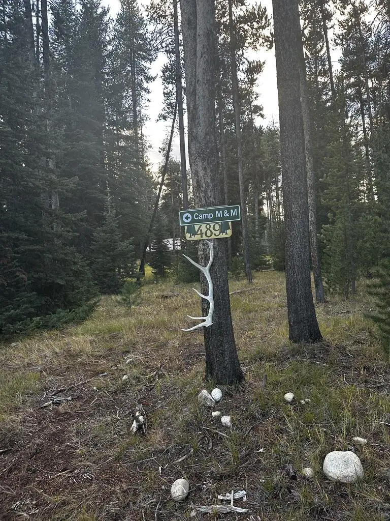 489 Secesh River Road, McCall, ID 83638 - #3