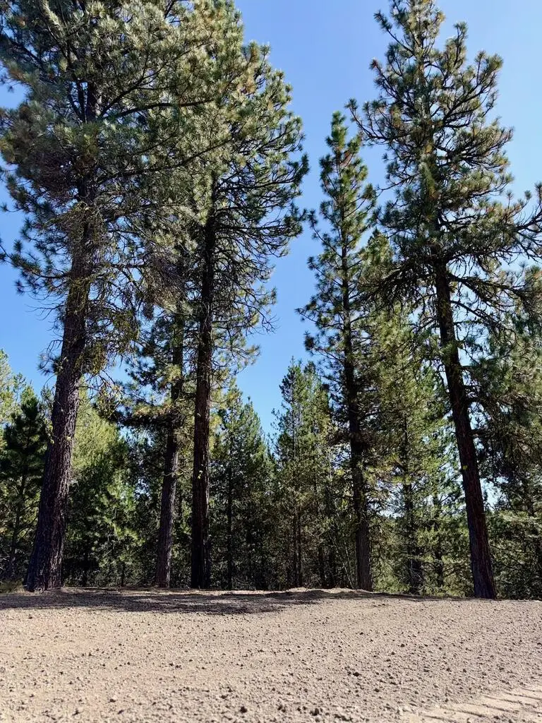 Lot 46 Sky Horse Drive, Cascade, ID 83611 - #3