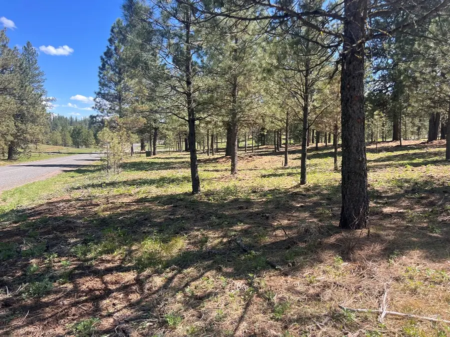 Lot 44 Old Hwy 95, New Meadows, ID 83654 - #3