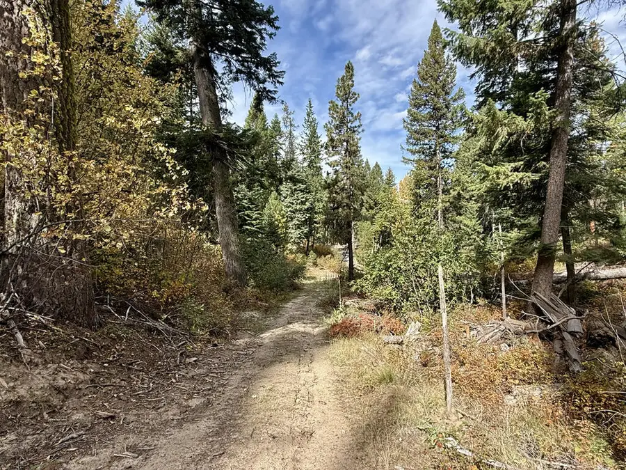 10 Crocus Court, Cascade, ID 83611 - #2
