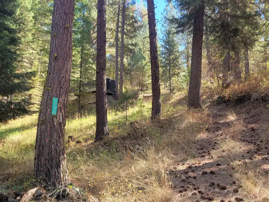 1270 Shore Drive, Cascade, ID 83611 - #3
