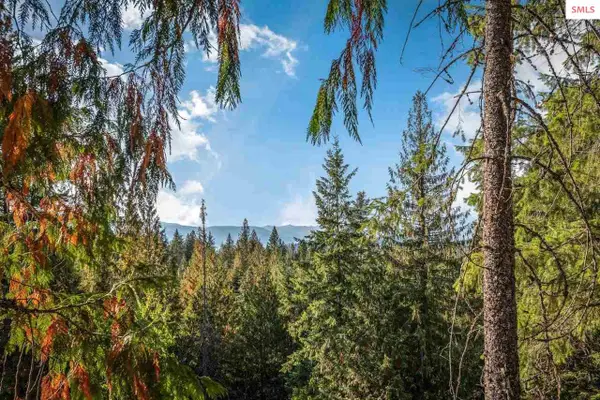 NNA C5 S Idaho Club Drive, Sandpoint, ID 83864