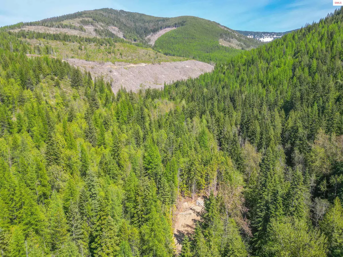 NKA Trapper Creek Spur, Sandpoint, ID 83864 - Image #1