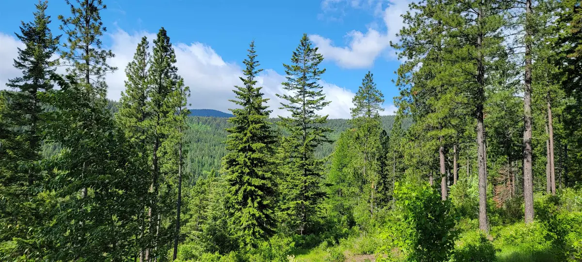 NNA Snowcat Lane Tract 4, Bonners Ferry, ID 83805 - #1