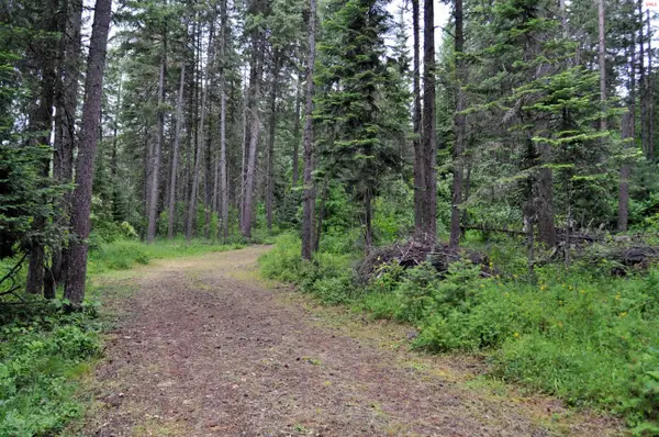 60317 Hwy 200, Clark Fork, ID 83811