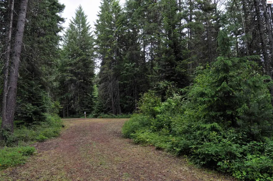 60317 Hwy 200, Clark Fork, ID 83811 - Image #2