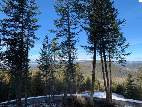 Lot E9 North Star Lane, Sandpoint, ID 83864