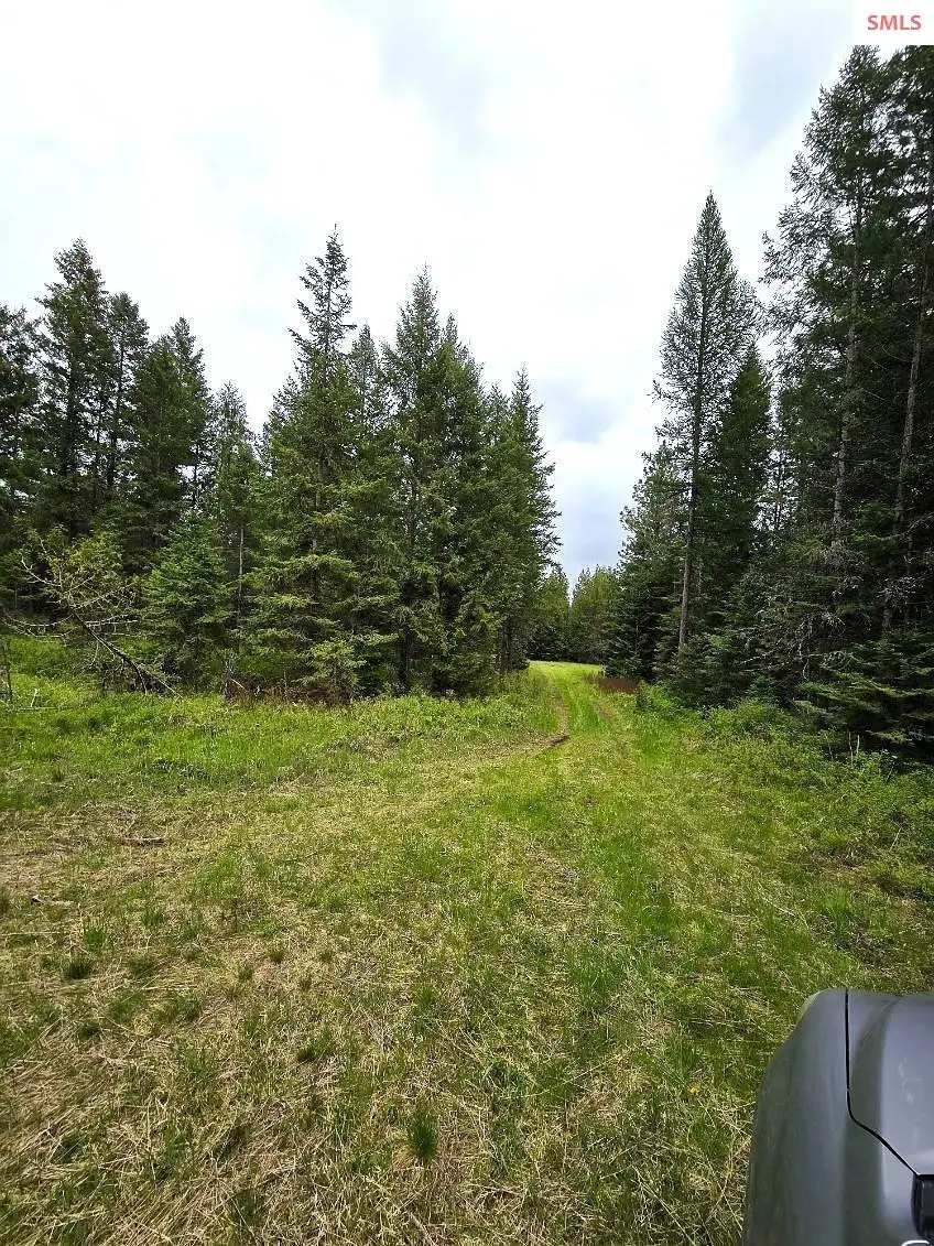 NNA Huckleberry Mtn. Road, Careywood, ID 83809 - Image #2