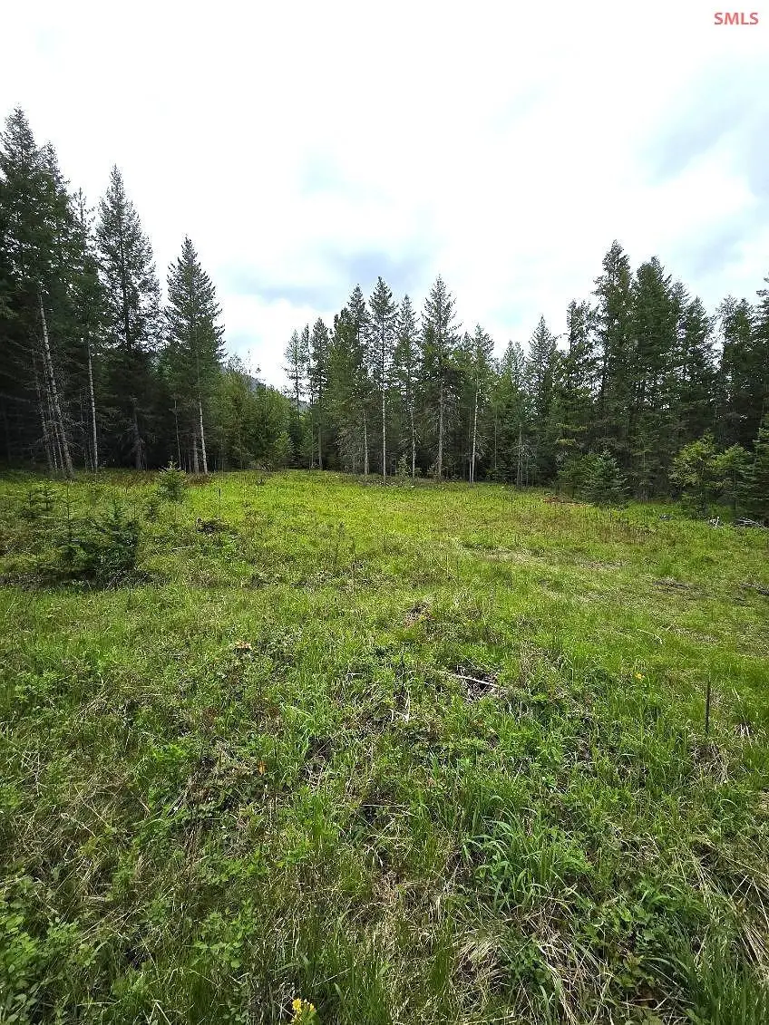 NNA Huckleberry Mtn. Road, Careywood, ID 83809 - Image #3