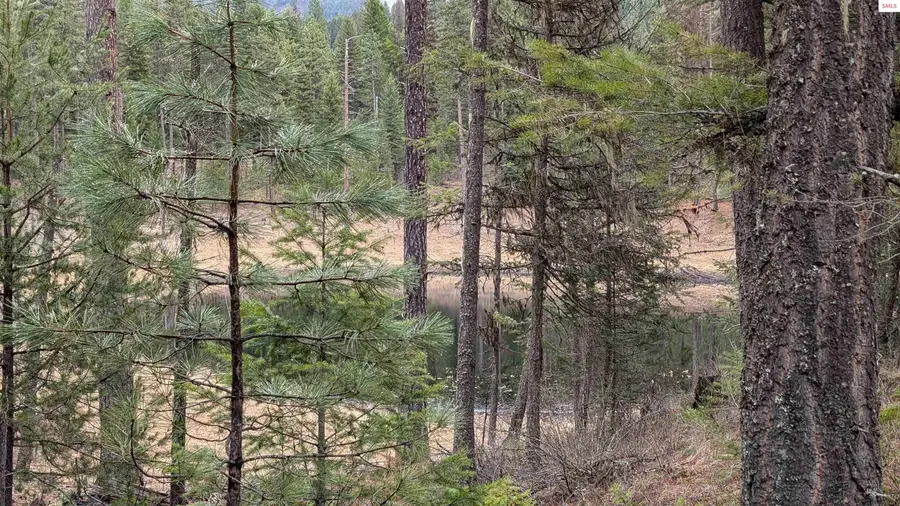 53396 Highway 95, Bonners Ferry, ID 83805 - Image #3