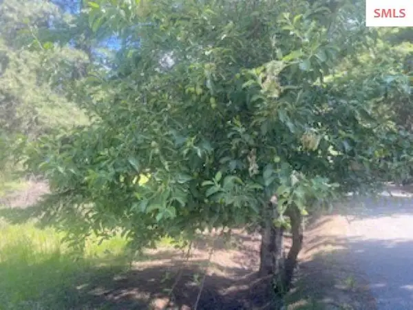 NNA Tannebaum, Bonners Ferry, ID 83805