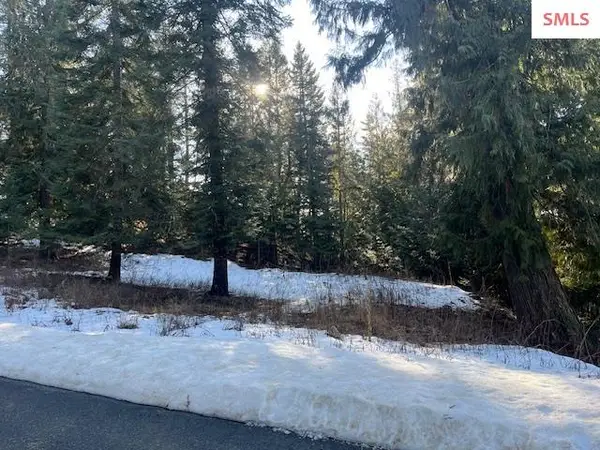 NNA D7 S White Cloud Drive, Sandpoint, ID 83864