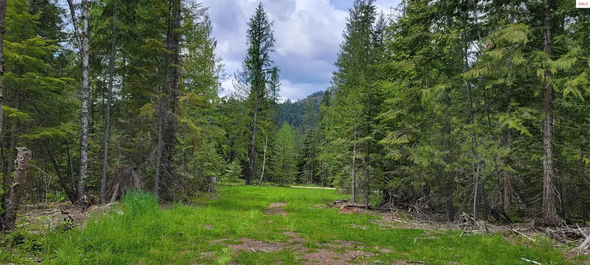 NNA Pup Paw Trail - North Parcel, Priest River, ID 83856 - Image #1