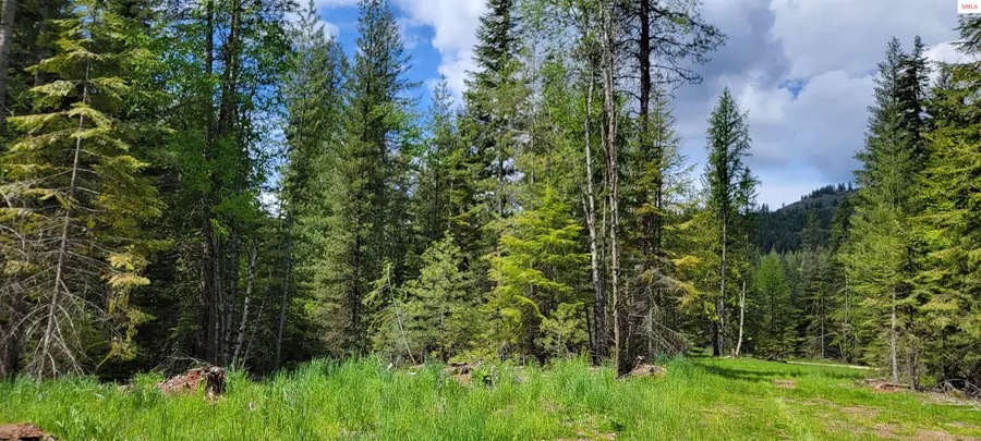 NNA Pup Paw Trail - North Parcel, Priest River, ID 83856 - Image #3
