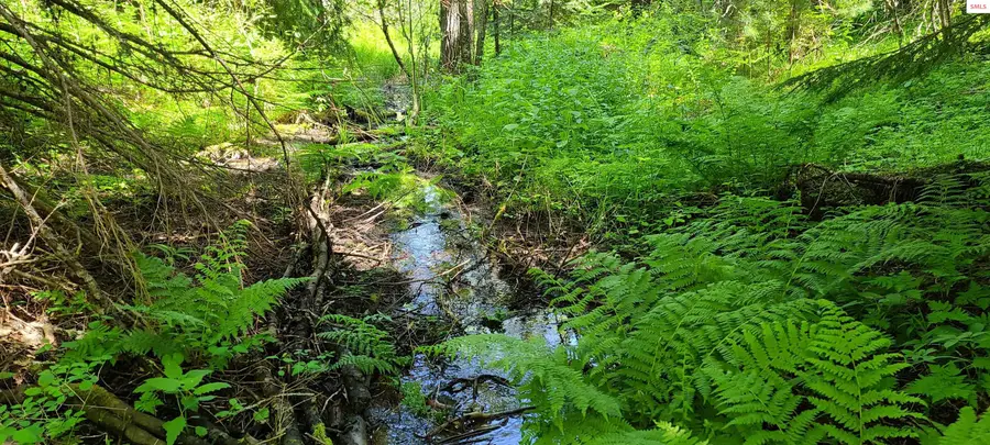 NNA Pup Paw Trail South Parcel, Priest River, ID 83856 - Image #2